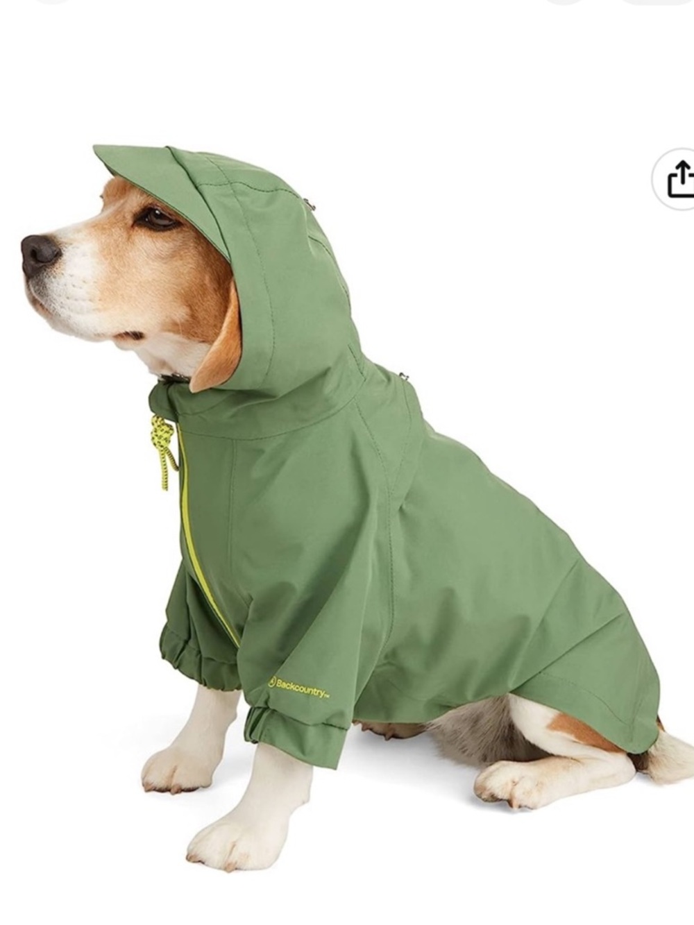 Backcountry x Petco Green Rain Dog Jacket in Green Size XL